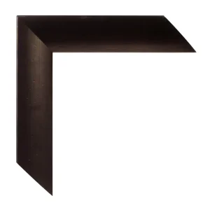 FERROSA I 395254 ijzer