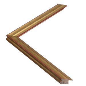 Koop onze mooie Academie 1616 goud op rood