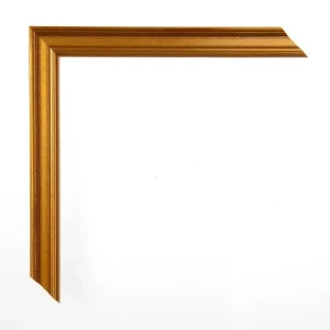 Academie 203235 goud