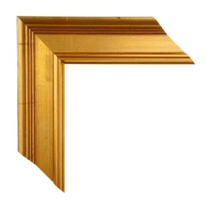 Academie 573235 goud